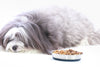 Is your dog a fussy eater? Dr Scott shares the signs and how to fix it. - Barking Heads & Meowing Heads