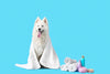 The Ultimate Guide to Dog Grooming: Tips from Barking Heads