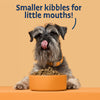 small breed dog food