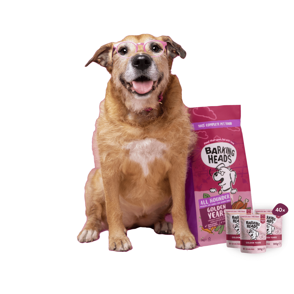 Barking heads senior dog food best sale