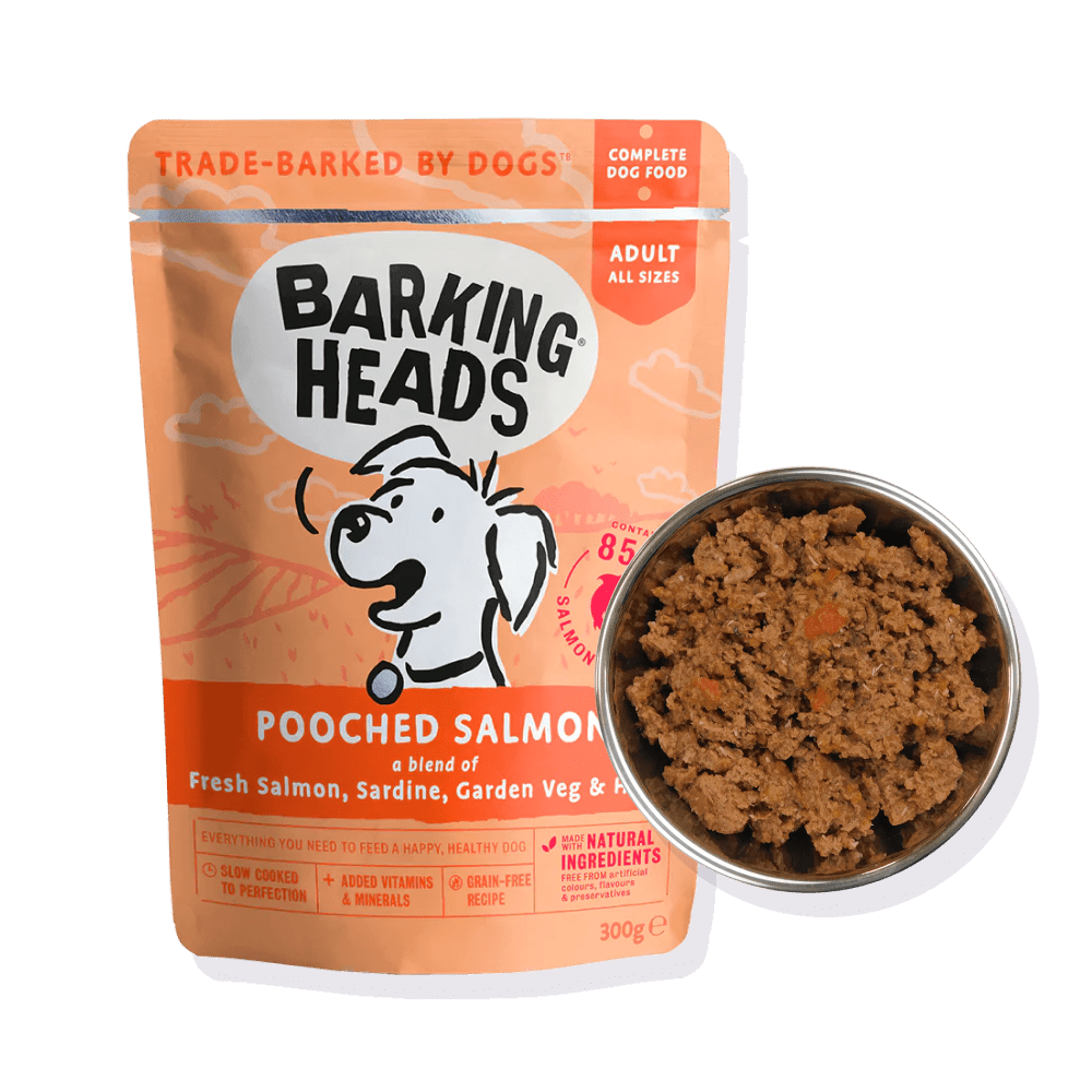 Pooched Salmon Wet Dog Food