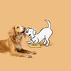 Explore the Barking Heads Dry Dog Food Range