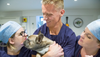 Dr Scott Miller with vet nurses and dog