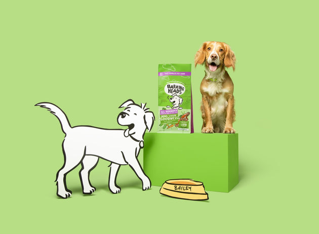 All Hounder: Tasty and tailored recipes for medium dogs