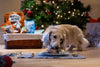 Apply to be Barking Heads’ Christmas dinner taster this Christmas - Barking Heads & Meowing Heads