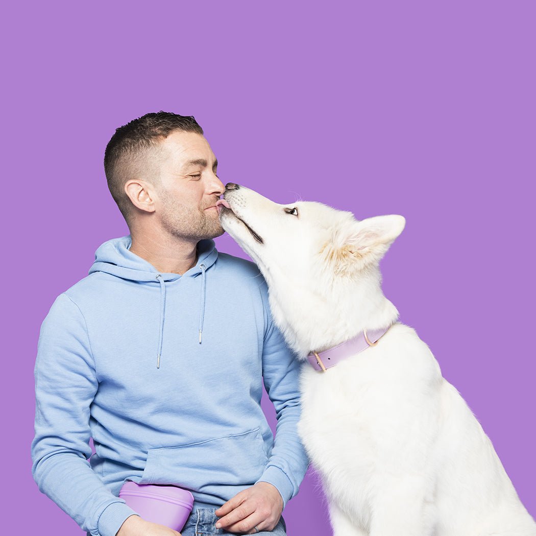 Are dogs good for mental health? - Barking Heads & Meowing Heads