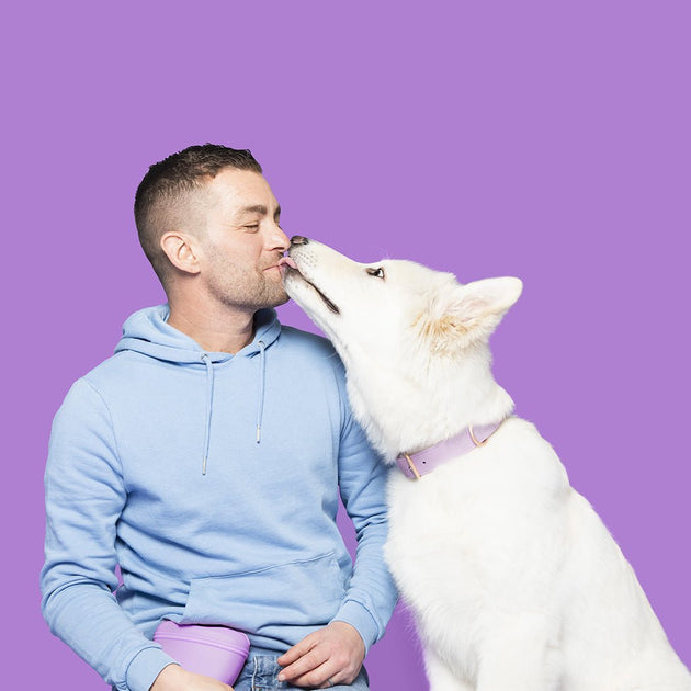 Are dogs good for mental health?