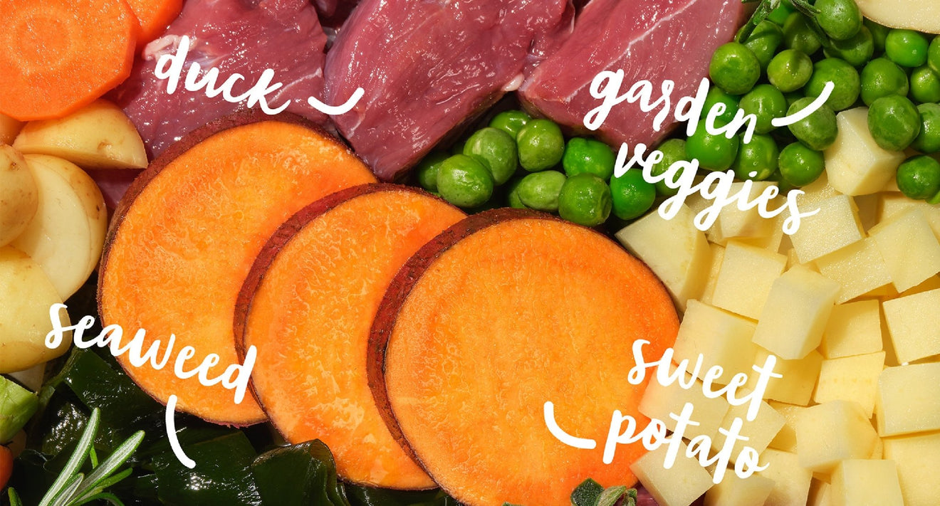 Barking Heads Fuss Pot: A Culinary Delight for Picky Paws