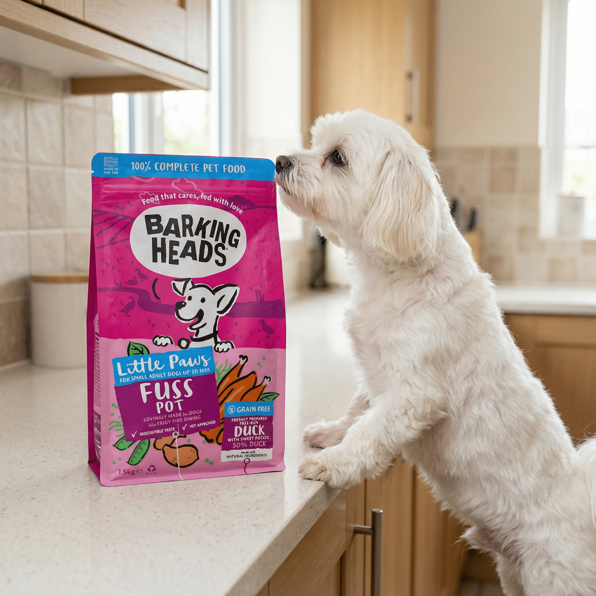Small white dog with Barking Heads little paws dog food