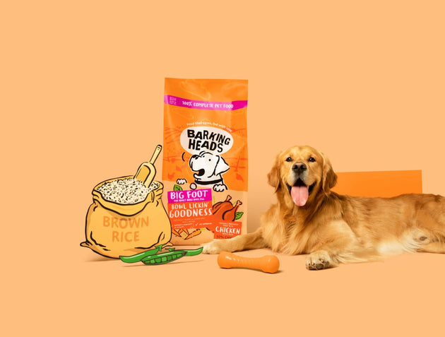 Big Foot: Tasty and tailored recipes for large adult dogs