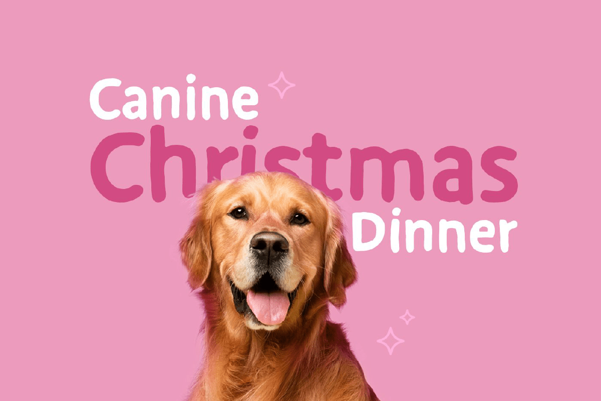 Can dogs eat Christmas dinner?