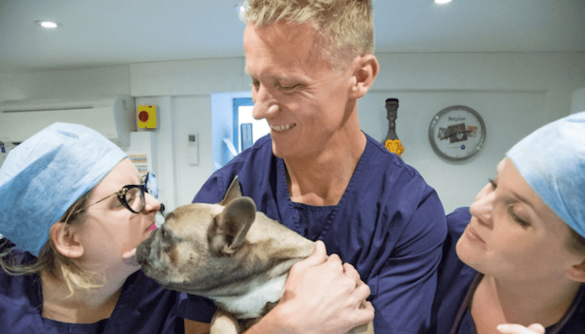 Dental Tips - Vet Advice from Vet Dr Scott Miller