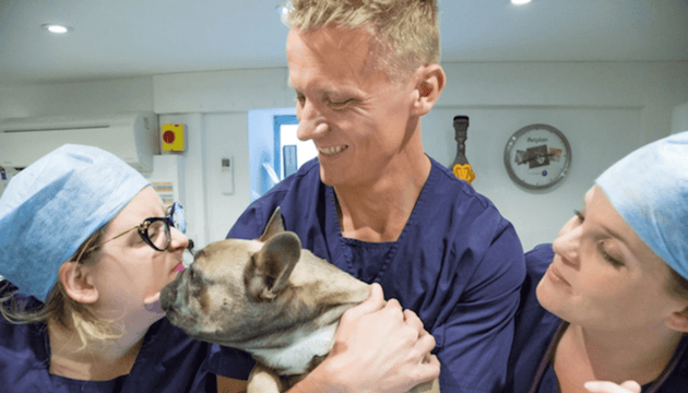 Dental Tips - Vet Advice from Vet Dr Scott Miller