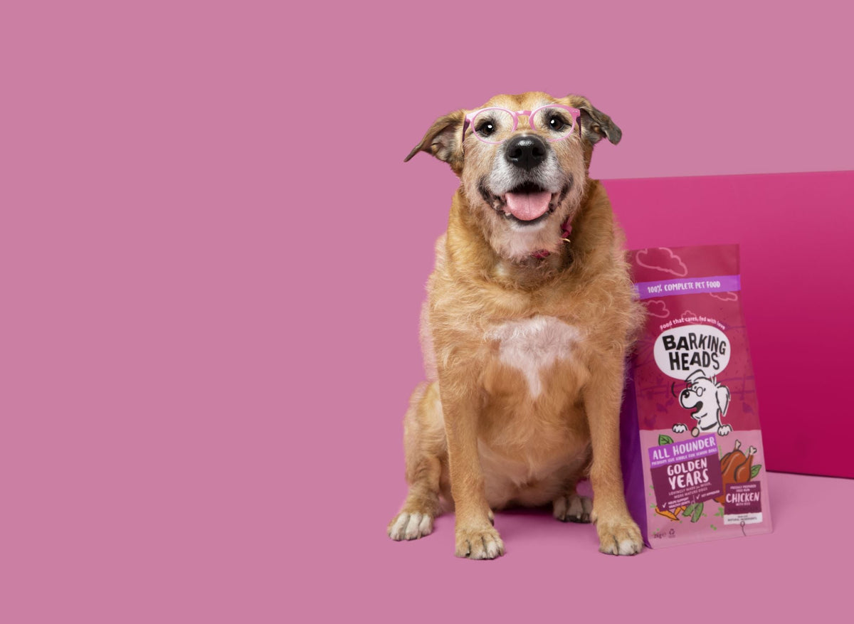 Embrace the Golden Years with Barking Heads' Senior Range