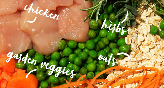 Everyday well-being for your pooch with Bowl Lickin' Goodness Chicken