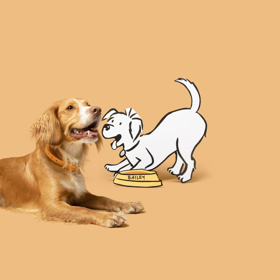 Explore the Barking Heads Dry Dog Food Range Barking Heads & Meowing