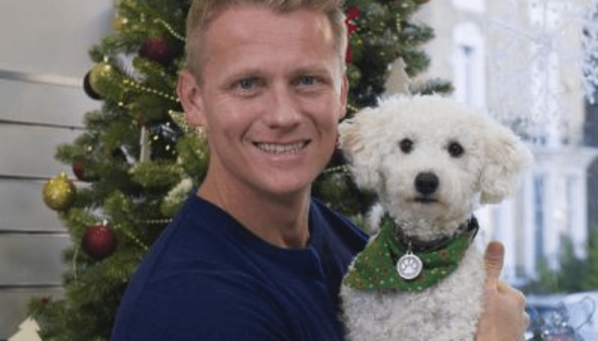 Firework Season - Vet Advice from Vet Dr Scott Miller - Barking Heads & Meowing Heads