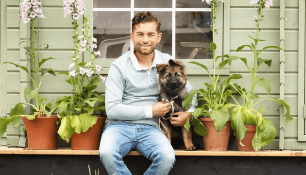 How to travel safely in the car with your dog - Advice from Dog Behaviourist and Trainer, Adem Fehmi