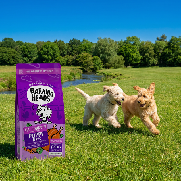 Is grain free dog food good or bad for puppies?