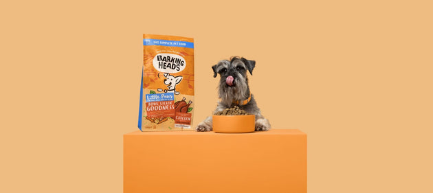 Little Paws: Tasty and tailored recipes for small adult dogs