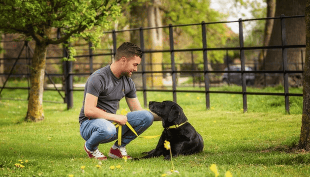 Managing Separation Anxiety