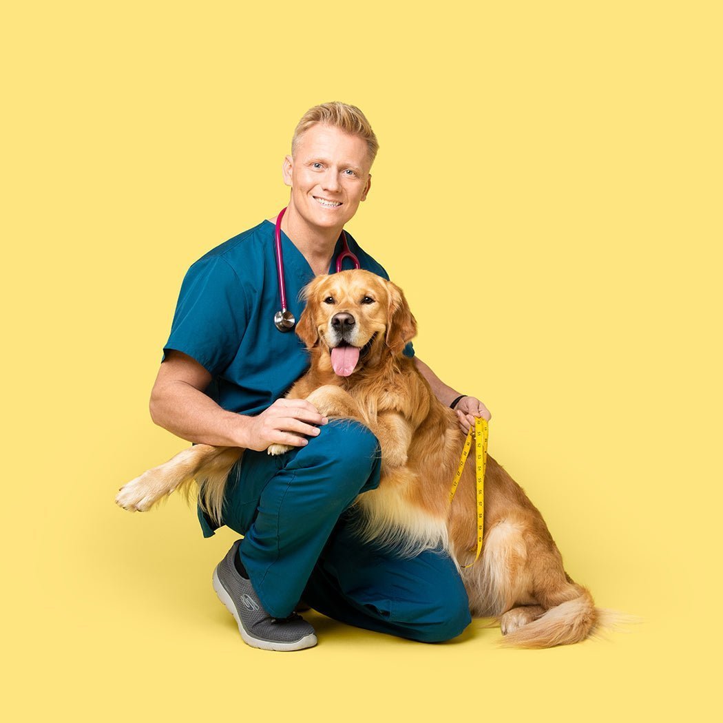 Monthly Wellness Calendar