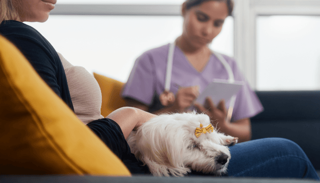 Pet Bereavement - Vet Advice from Vet Dr Scott Miller