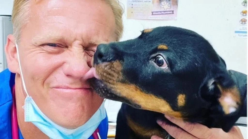 Poo-ch happens: the expert guide to your dog's poo