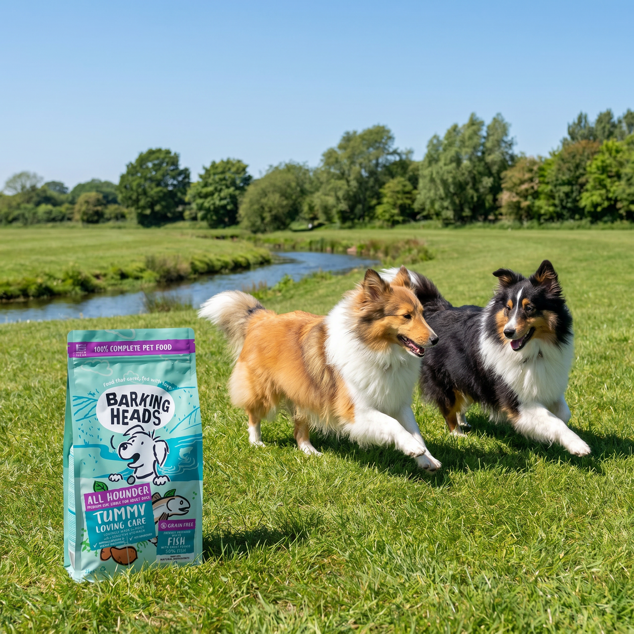 Prebiotics for dogs: what they are, why they matter, and how to feed them