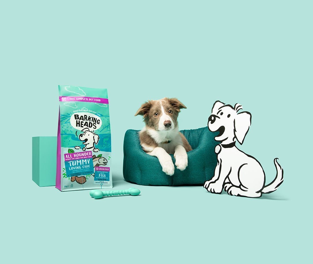Prebiotics for dogs: what they are, why they matter, and how to feed them