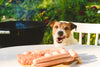 Beware of BBQ Risks: Keeping Your Canine Companions Safe and Happy