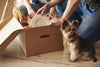 Tips for moving house with your dog
