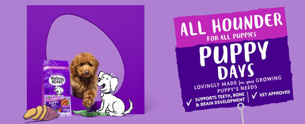 Start their journey right with Barking Heads Puppy Days puppy food
