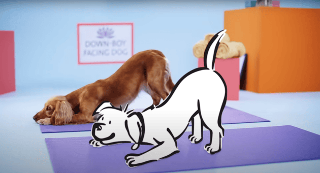 The Benefits of Dog Meditation For You and Your Pooch