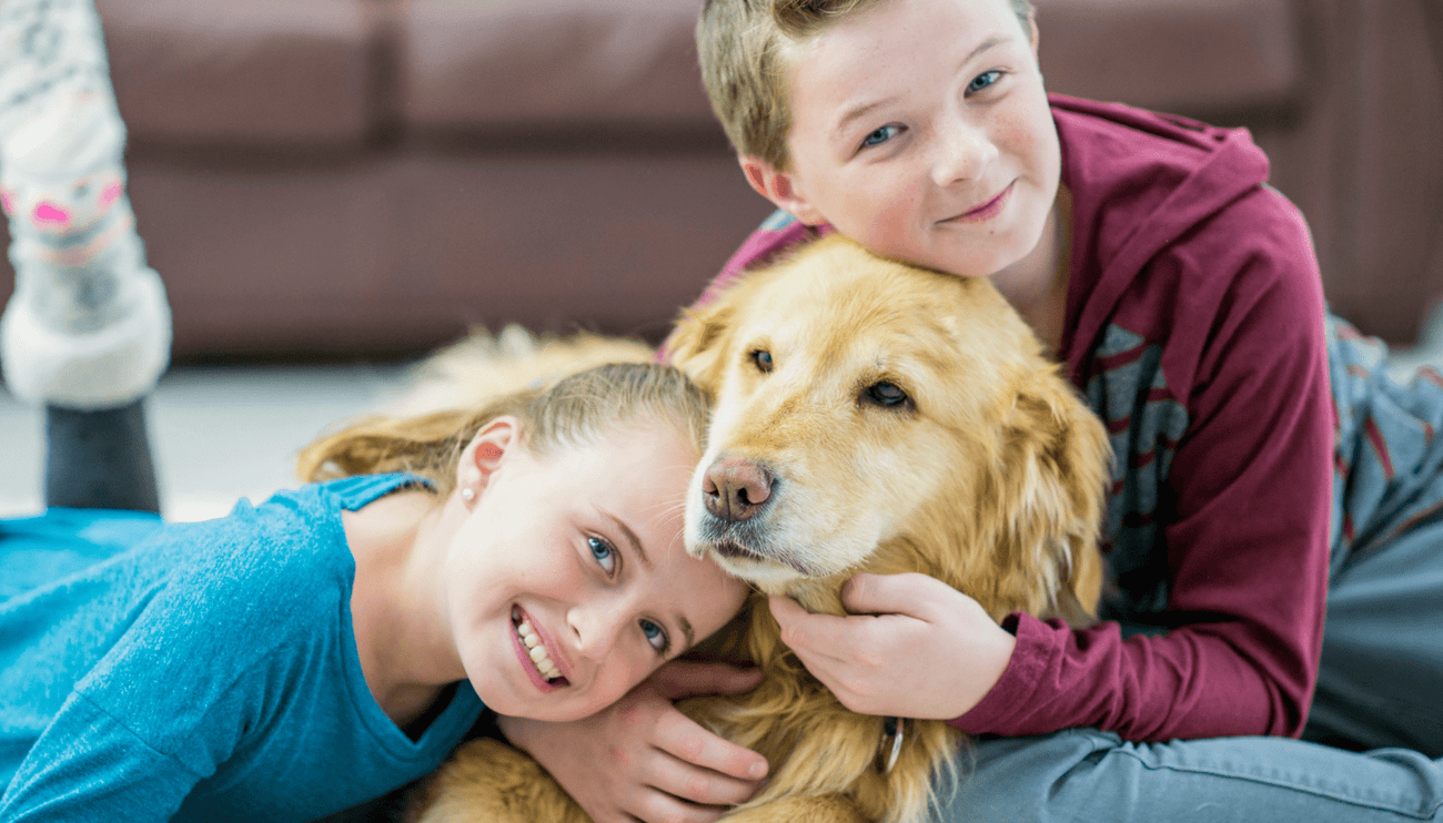 The best dog breeds for families with small children