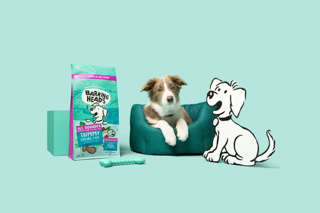 The best food for dogs with sensitive stomachs: Tummy Loving Care