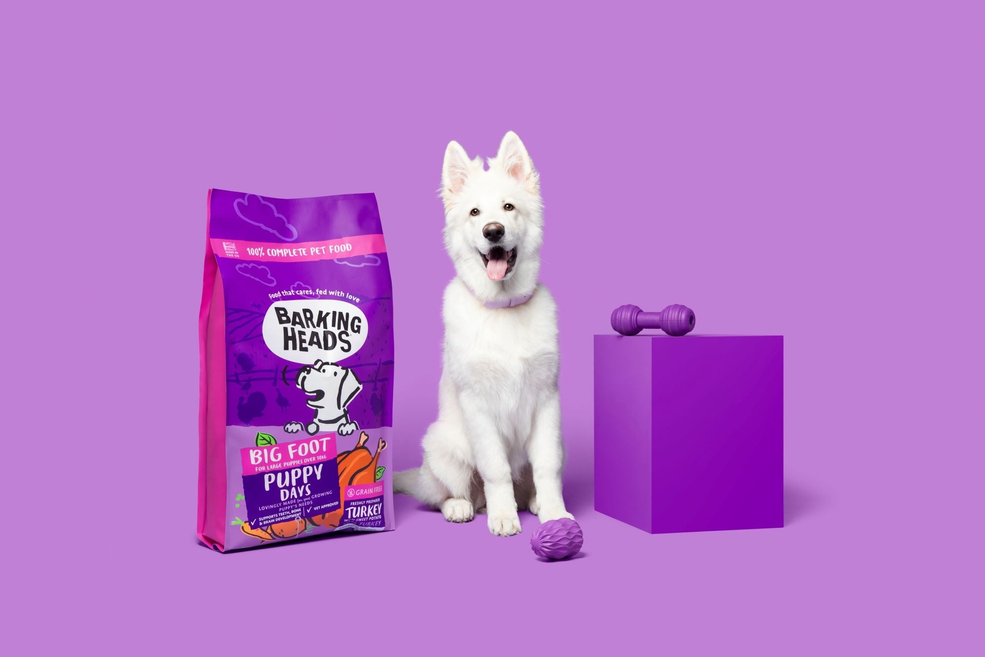 The best large breed puppy food: Big Foot Puppy Days - Barking Heads & Meowing Heads