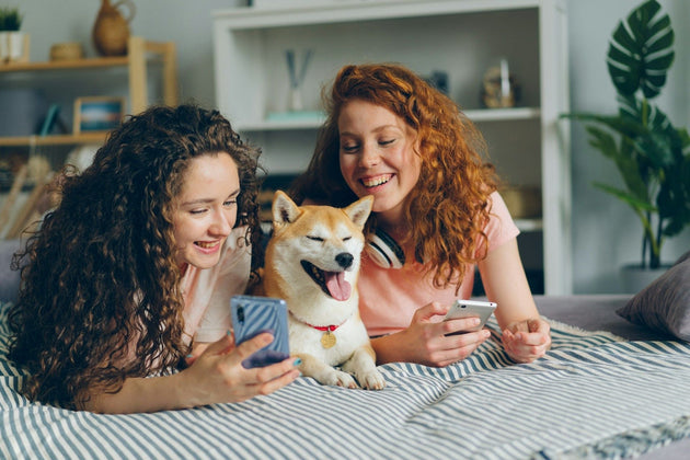 The Joy Report: How much happiness does your pet bring you?
