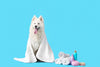 The Ultimate Guide to Dog Grooming: Tips from Barking Heads - Barking Heads & Meowing Heads