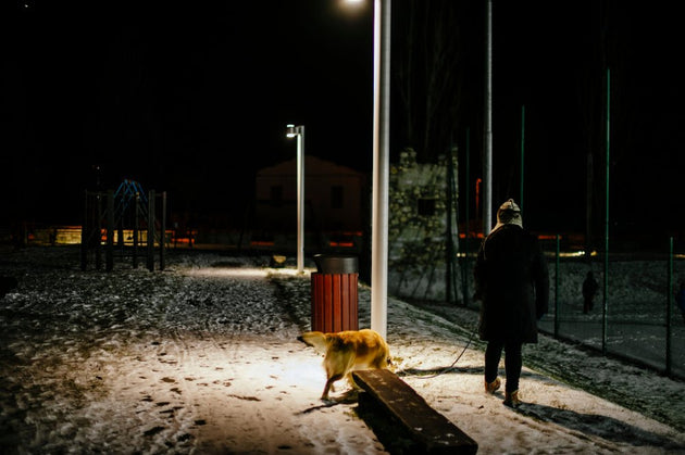 Top Tips for Walking Your Dog in the Dark