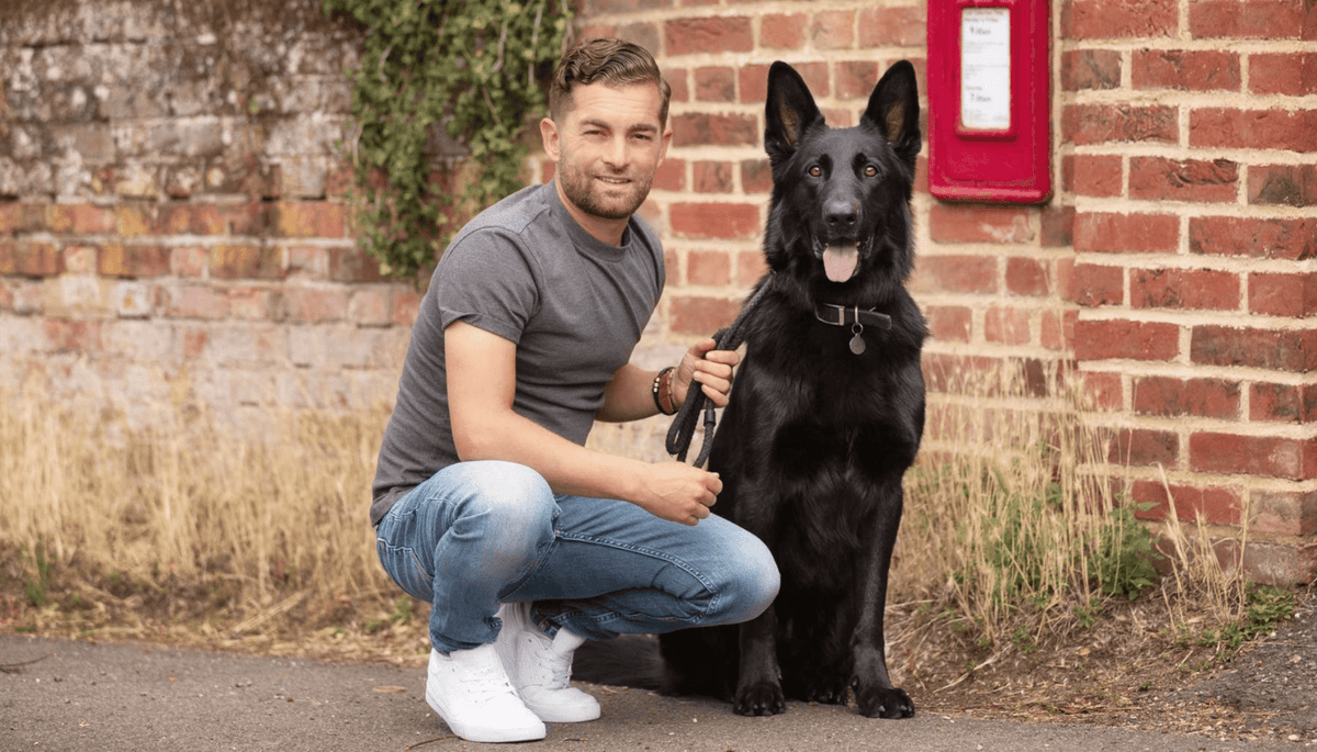Traveling safely with your dog in the car from Dog Behaviourist & Trainer Adem Fehmi