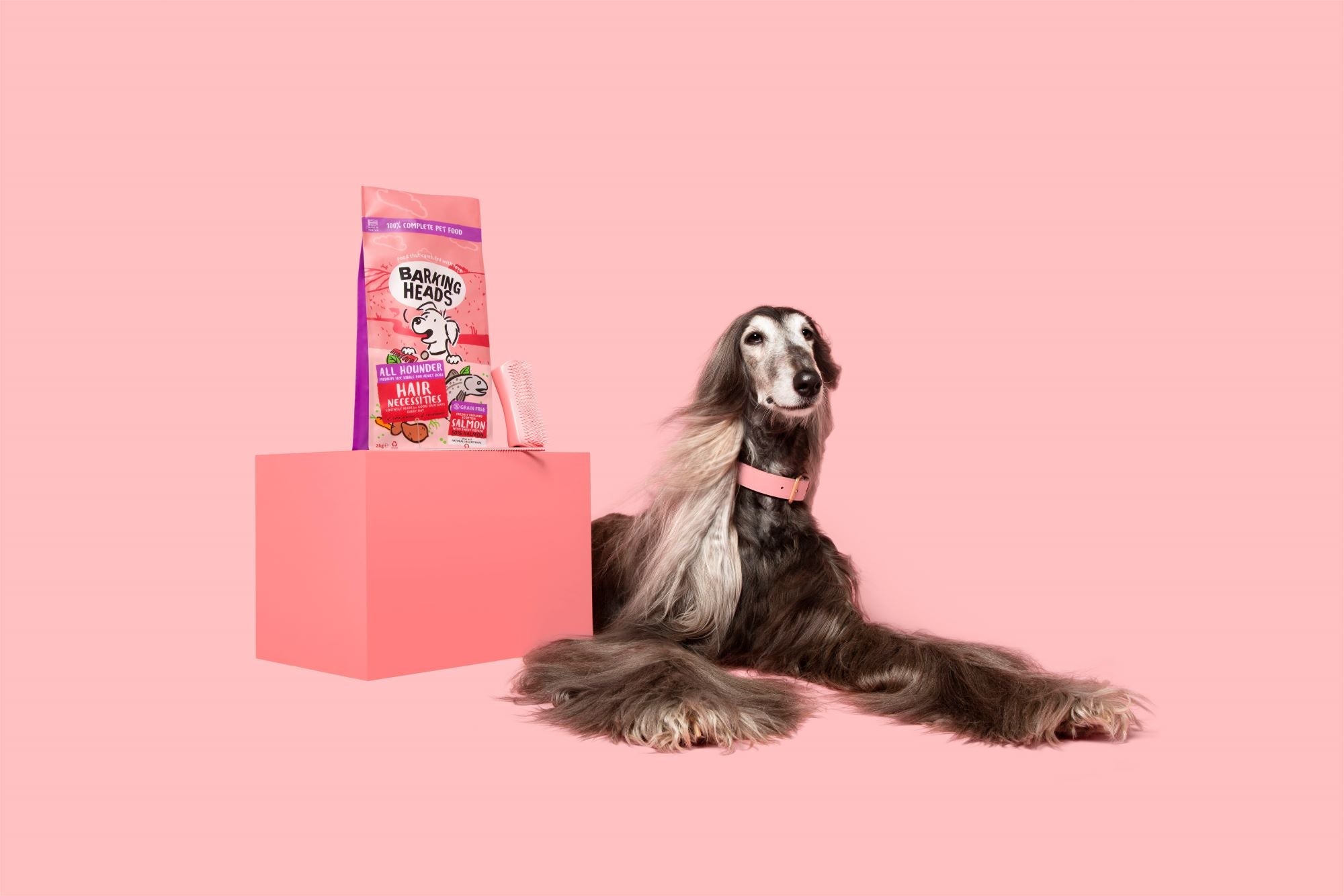 Unleash the Shine with Barking Heads Hair Necessities - Barking Heads & Meowing Heads