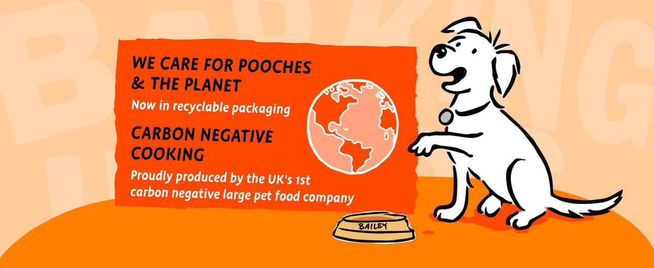 We care for pooches and the planet - now in recyclable packaging!