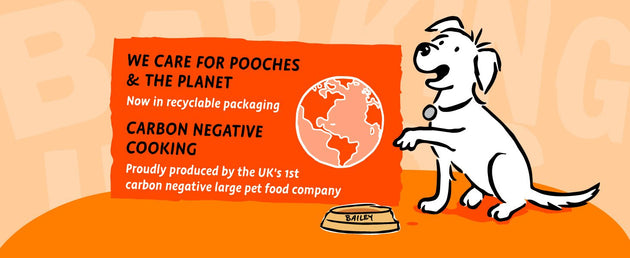 We care for pooches and the planet - now in recyclable packaging!