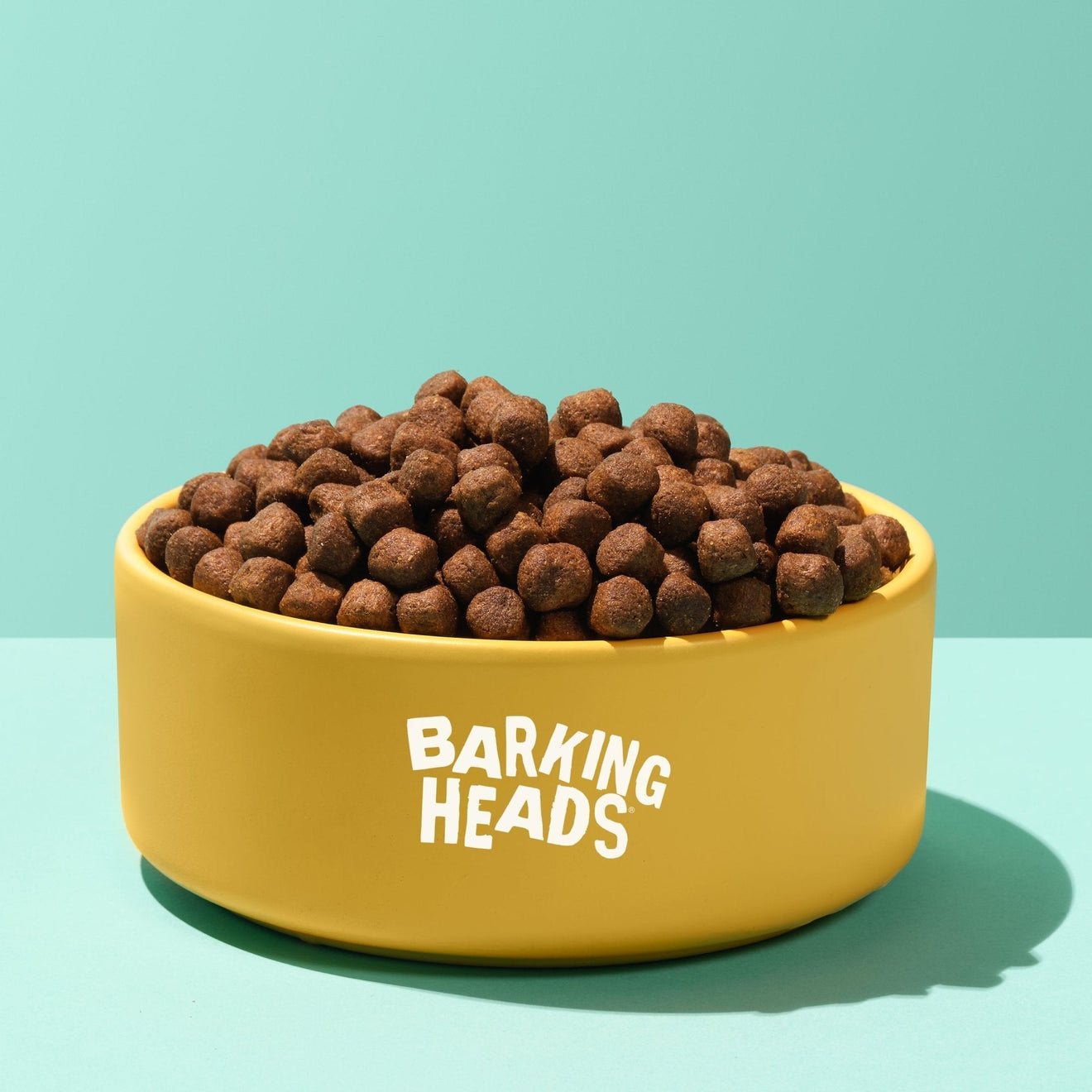 What is hypoallergenic dog food, and does your dog need it?