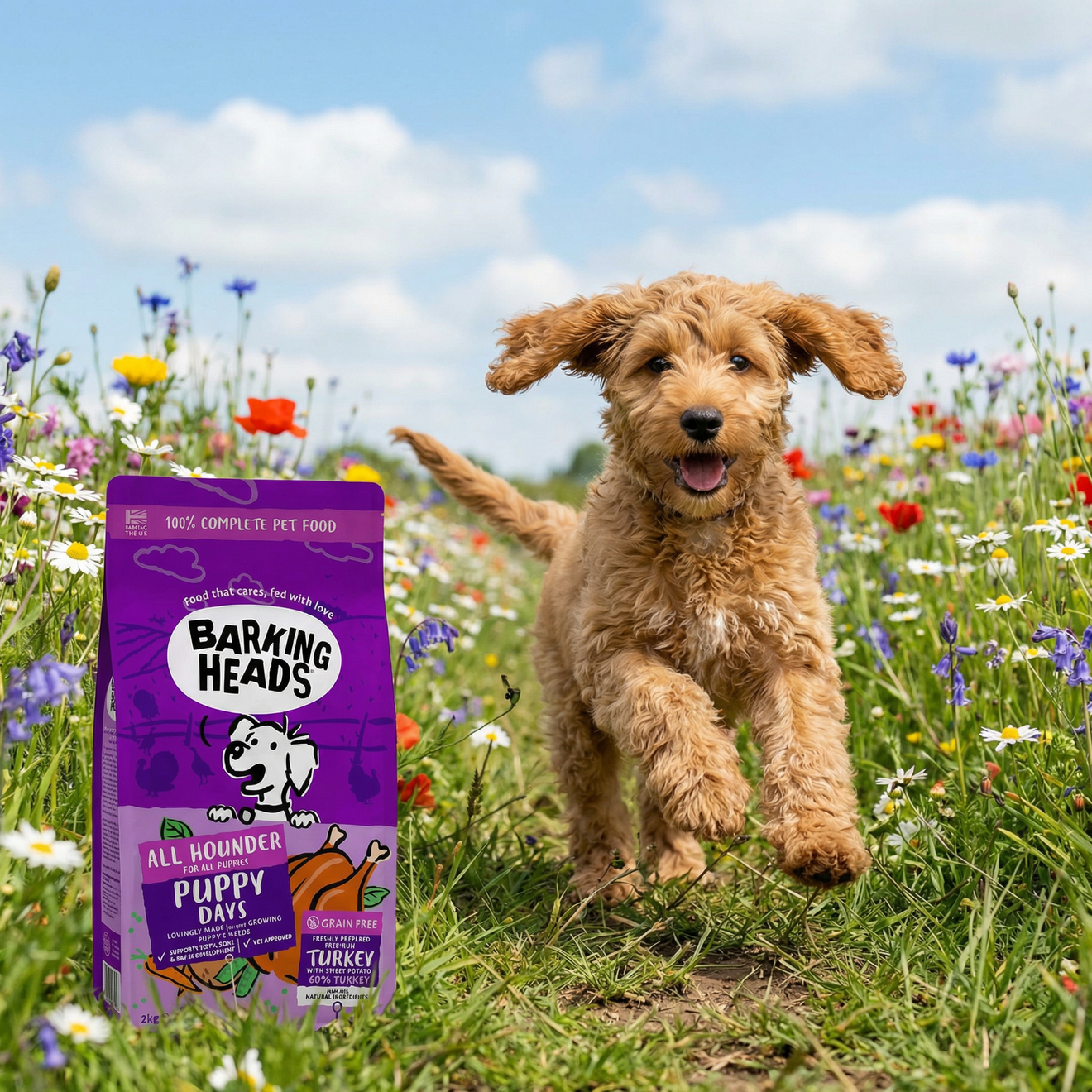 Your step-by-step guide to weaning a 4 week old puppy