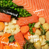 Salmon dry dog food ingredients 