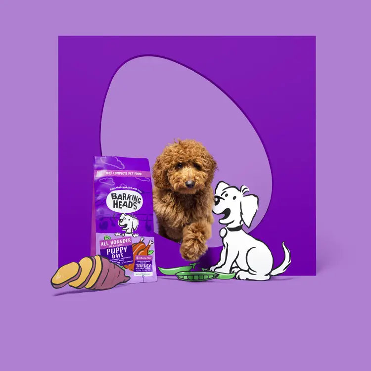 Barking Heads dog food bag with a plush dog toy and treats on a purple background