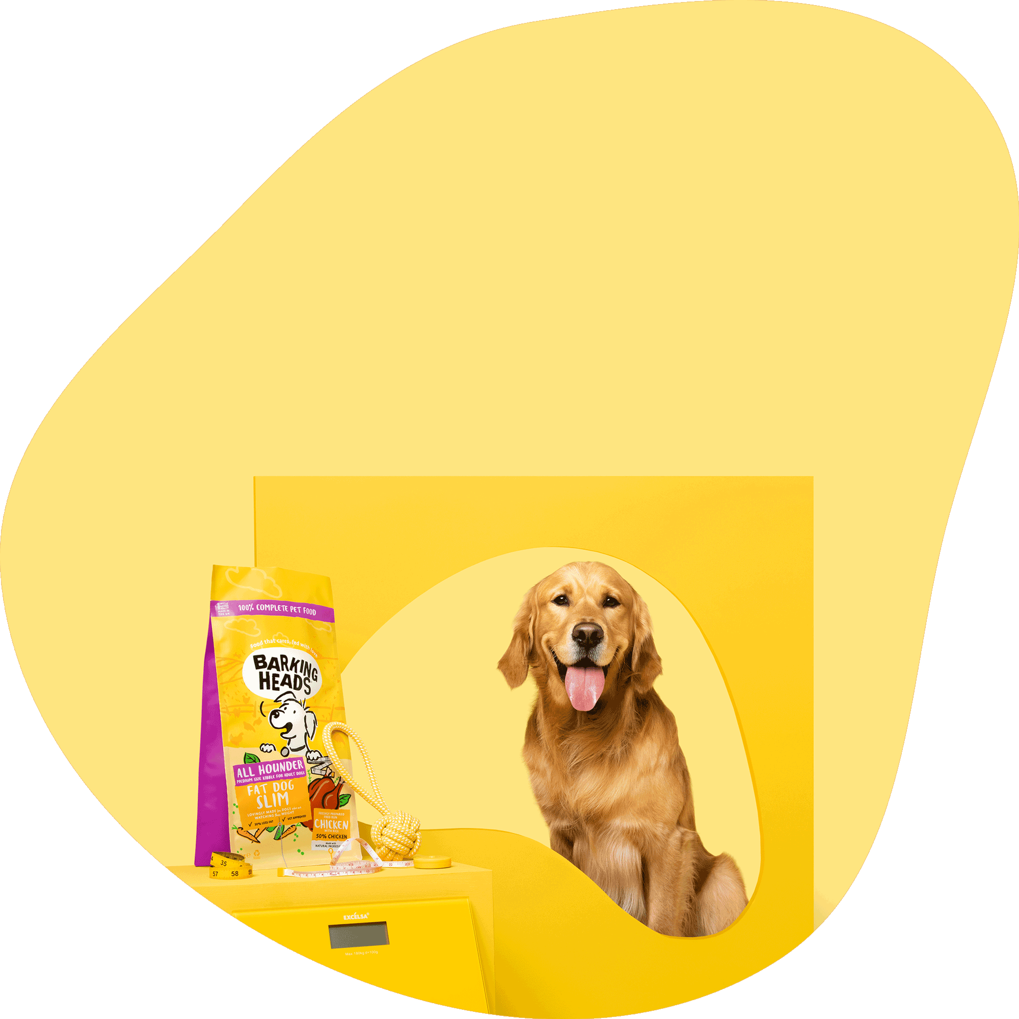 Dog with a bag of Barking Heads dog food on a yellow background