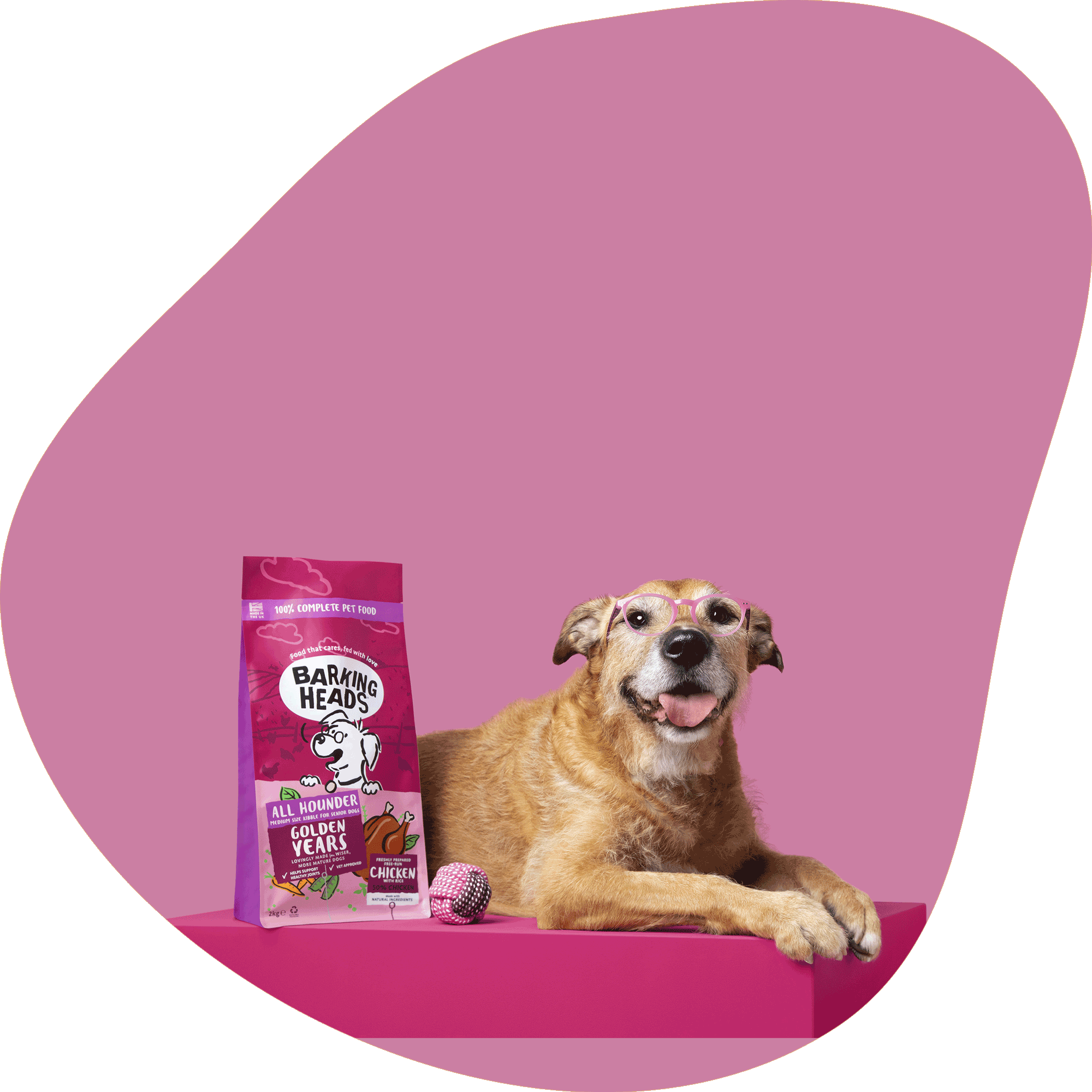 Dog lying on a pink surface with a Barking Heads pet food package next to it, against a pink and beige background.